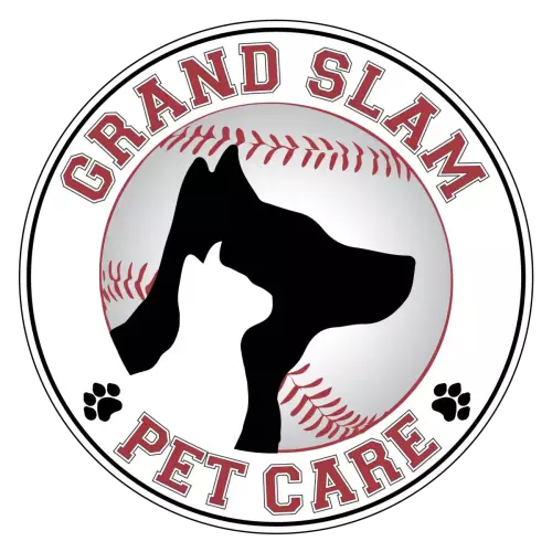 Graphics Logos 09