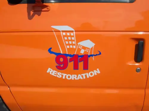 Vehicle Graphics 10