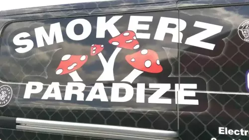 Vehicle Wraps 08