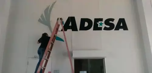 Vinyl Wall Graphics 08