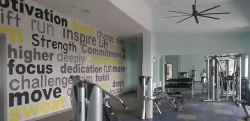 Vinyl Wall Graphics 13